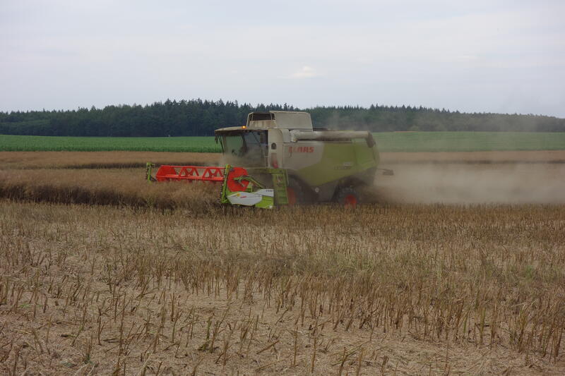 bilder/14_8_2002/fendt_716_8.jpg