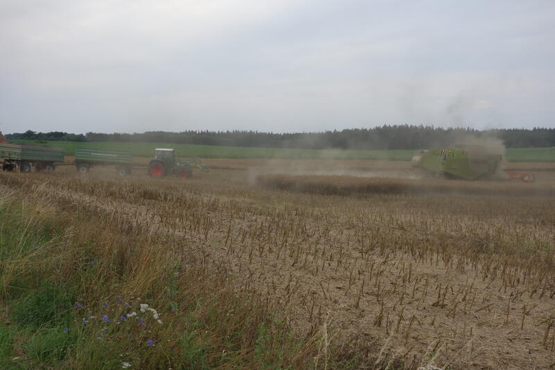 bilder/19_7_2020/DSC09658.jpg