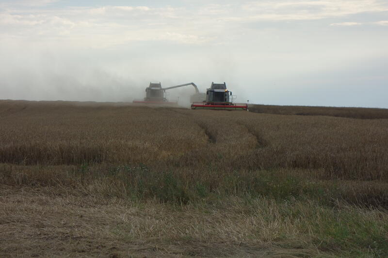 bilder/8_8_2013/CIMG8770.jpg