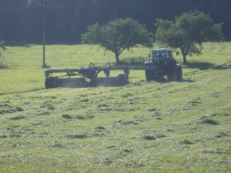 fendt_6.jpg