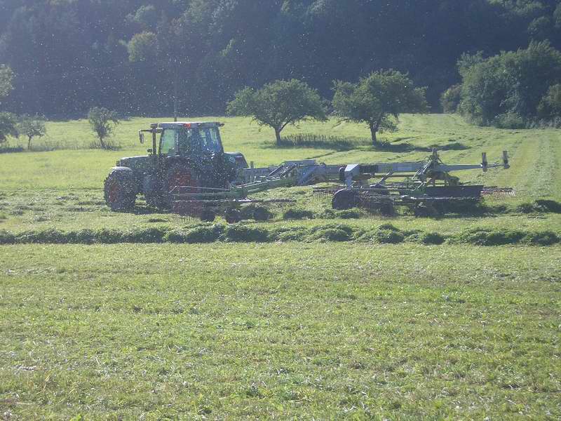 fendt_8.jpg