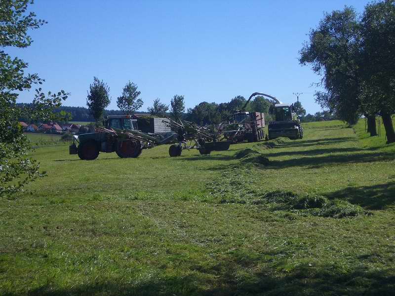 bilder/31_5_2005/jaguar_fendt_824_3.jpg