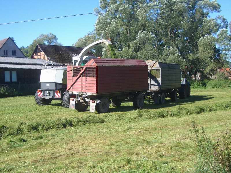 bilder/14_8_2002/fendt_716_6.jpg