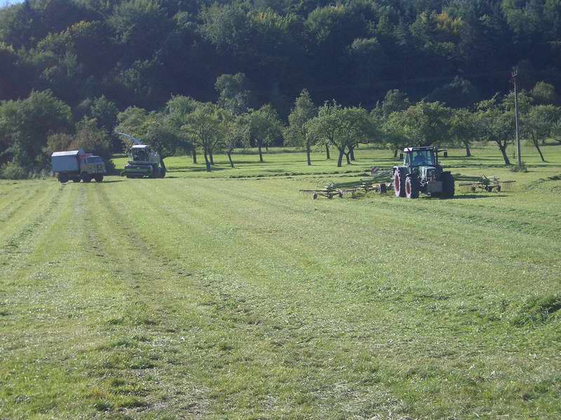 bilder/19_9_2005/jaguar_fendt_w50.jpg