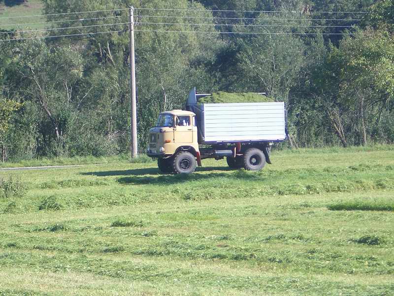 bilder/31_7_2003/mega_28.jpg