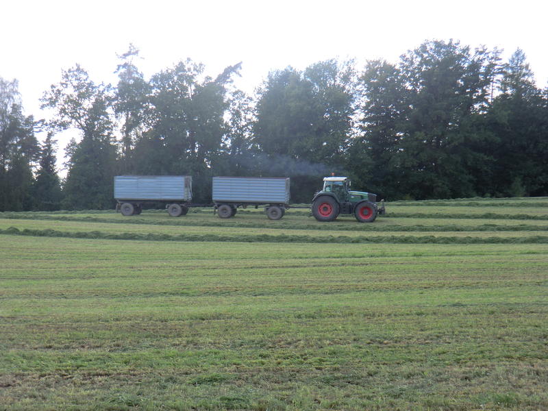 bilder/19_9_2012/CIMG0837.jpg