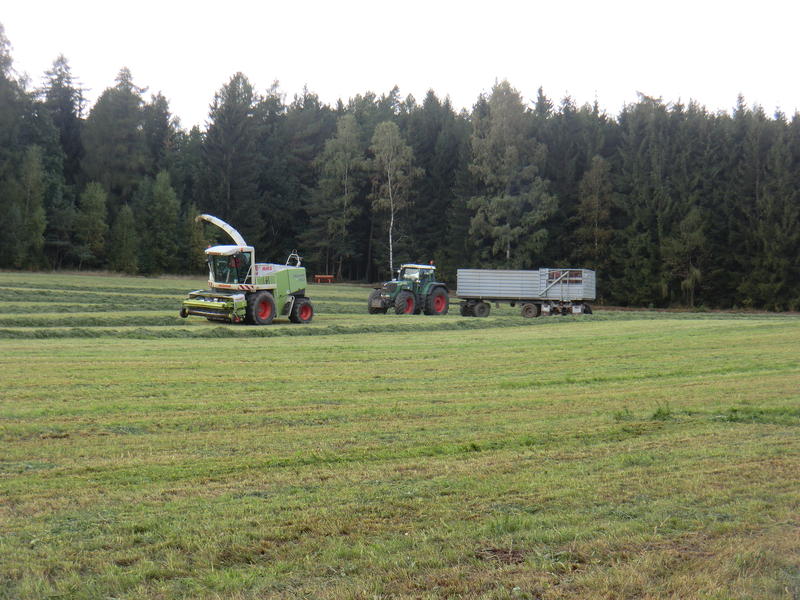 bilder/19_9_2012/CIMG0838.jpg