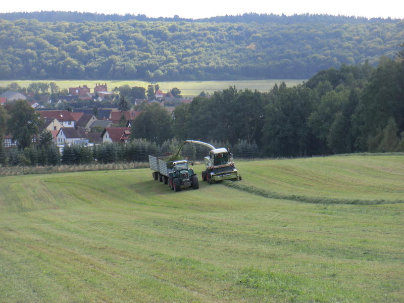 bilder/9_7_2018/DSC03793.jpg