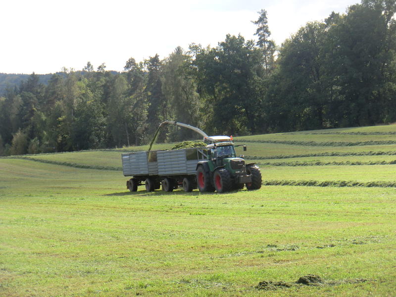 bilder/19_9_2012/CIMG0843.jpg