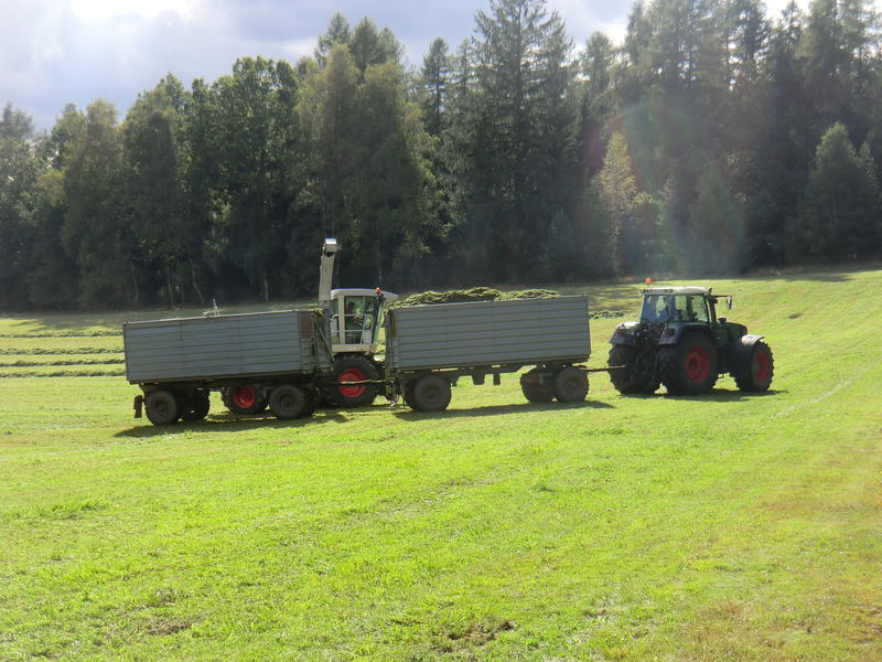 CIMG0844.jpg