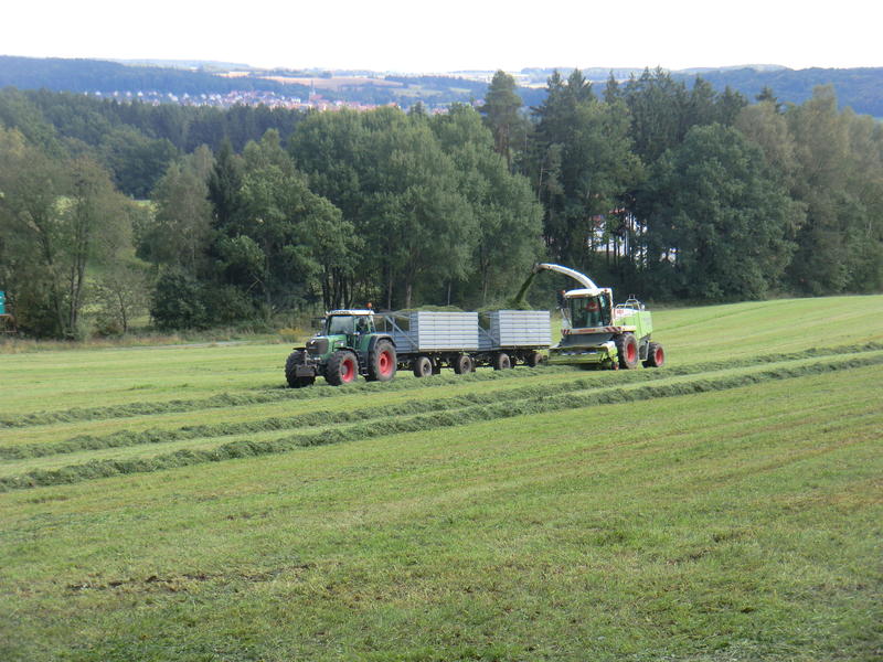 bilder/19_9_2012/CIMG0849.jpg