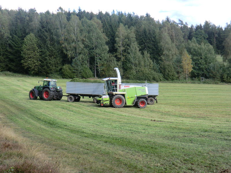 CIMG0851.jpg