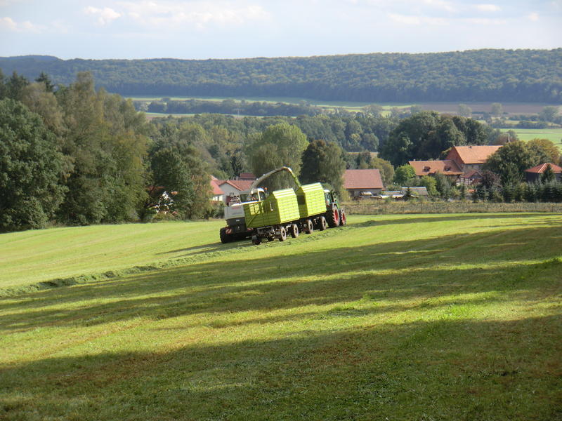 CIMG0855.jpg