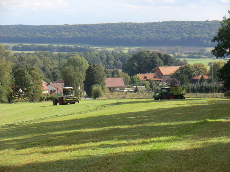bilder/19_9_2012/CIMG0856.jpg