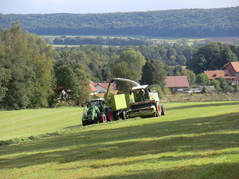 CIMG0857.jpg