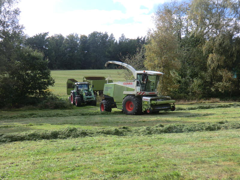 bilder/30_9_2011/CIMG5220.jpg