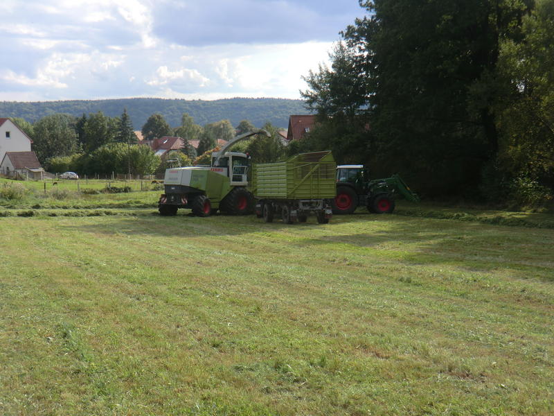 CIMG0863.jpg