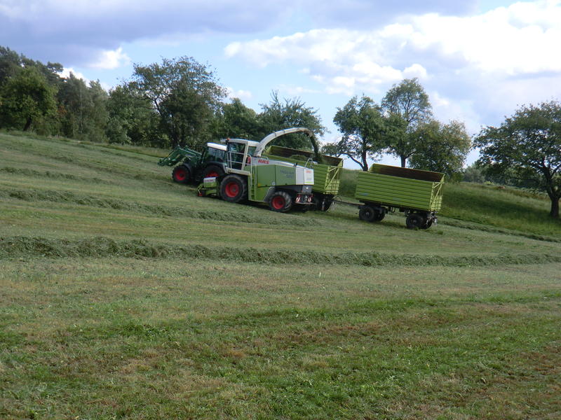 bilder/28_8_2012/CIMG0284.jpg