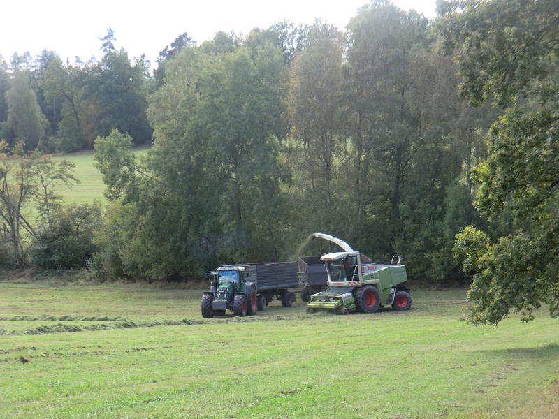 CIMG0874.jpg