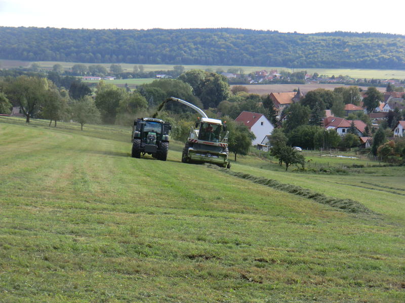 bilder/19_9_2012/CIMG0880.jpg