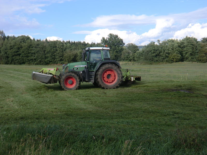 CIMG0894.jpg