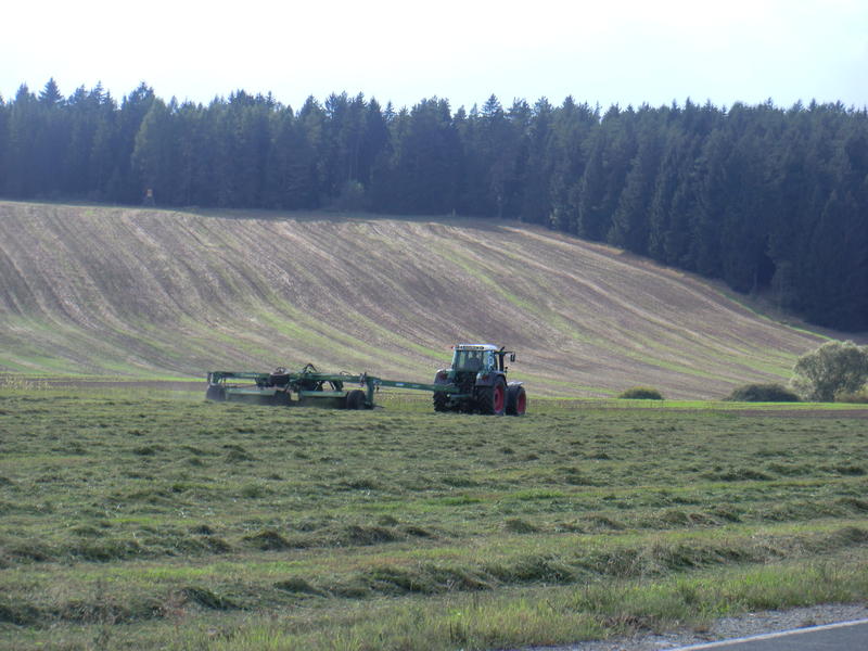 CIMG0897.jpg