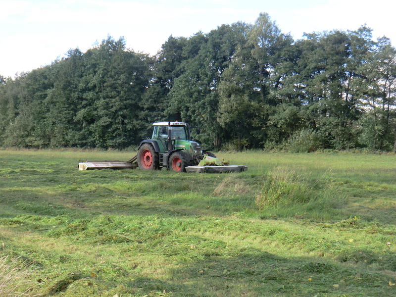 bilder/27_8_2002/fendt_824_6.jpg