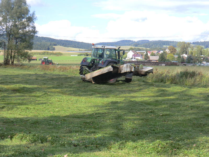 bilder/11_8_2012/CIMG0035.jpg