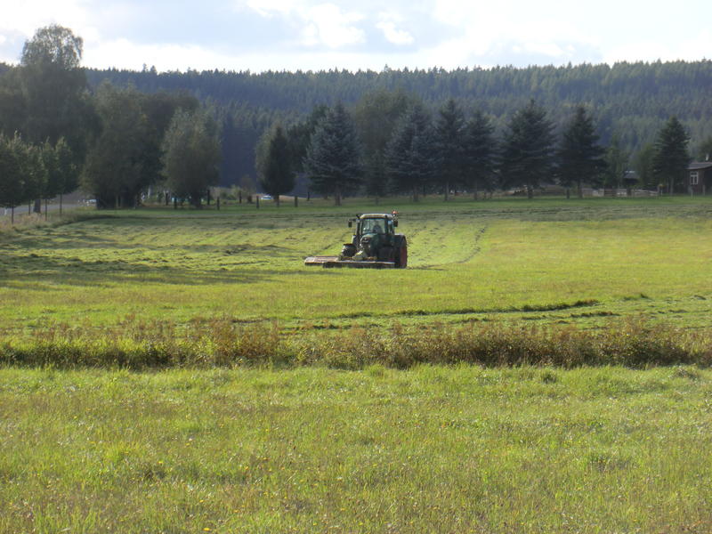 bilder/27_10_2016/DSC06903.jpg