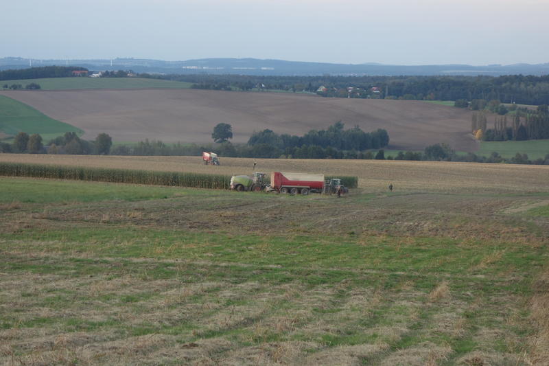 DSC00389.jpg