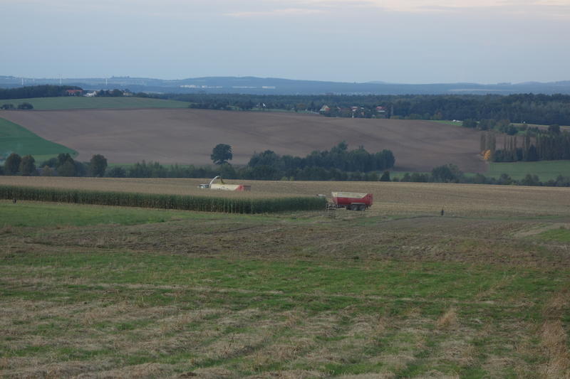DSC00395.jpg
