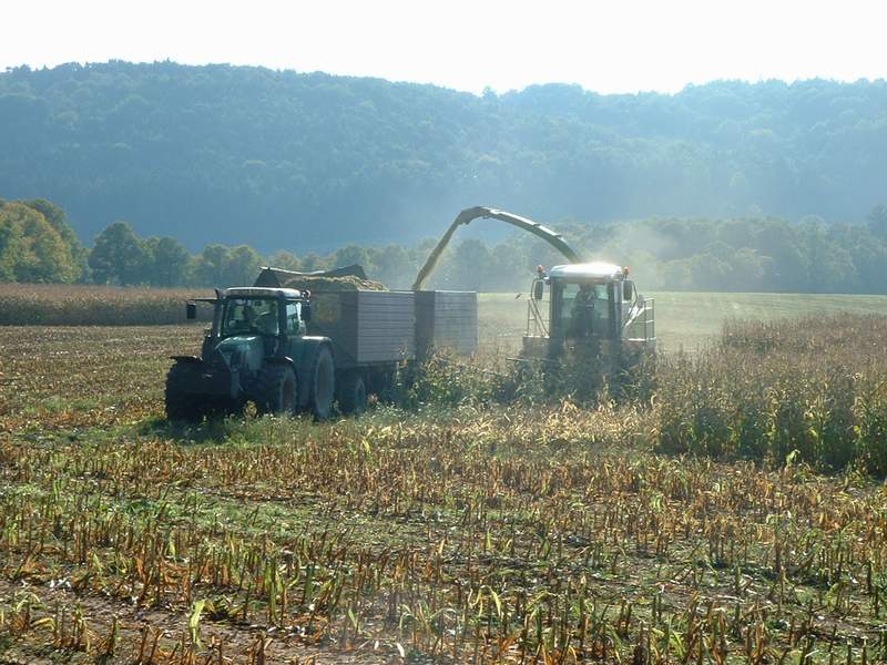 bilder/1_10_2002/jaguar_+_fendt_716.jpg