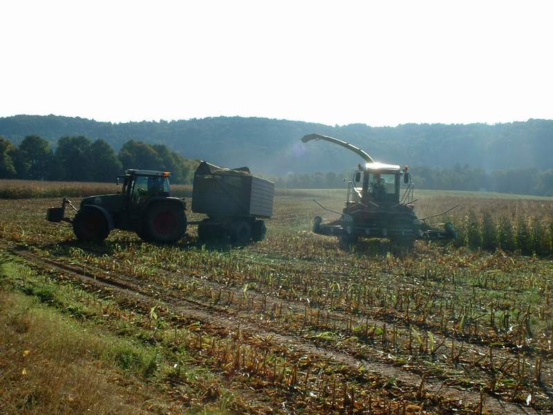 bilder/1_10_2002/jaguar_+_fendt_716_2.jpg