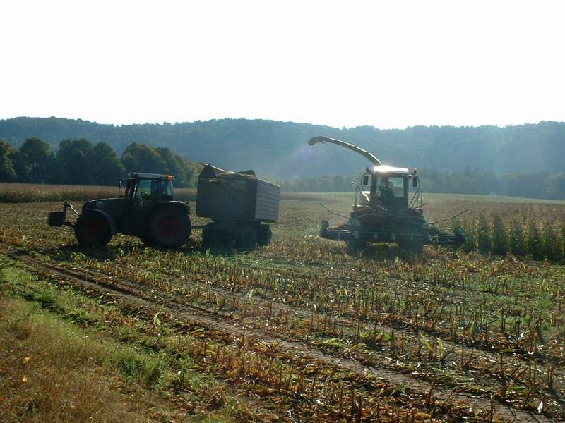 jaguar_+_fendt_716_2.jpg