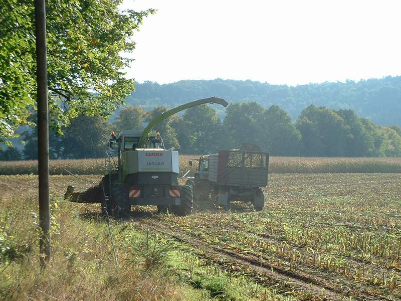 jaguar_+_fendt_716_4.jpg