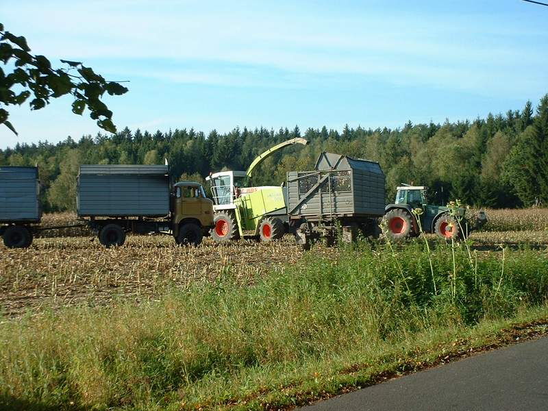 jaguar_+_fendt_824_+_w50.jpg