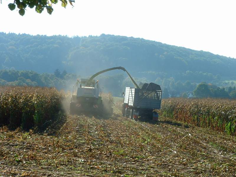 bilder/16_10_2004/jaguar_fendt_zt_323_4.jpg