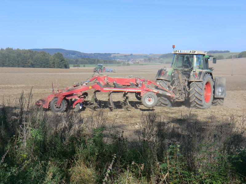 bilder/1_10_2011/CIMG5266.jpg