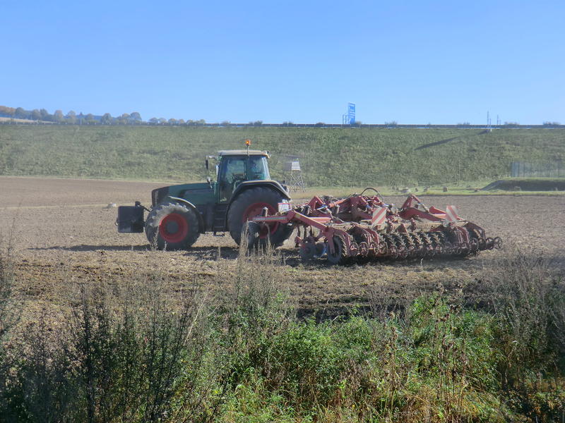 CIMG5270.jpg