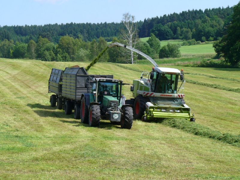 bilder/28_9_2015/DSC02770.jpg