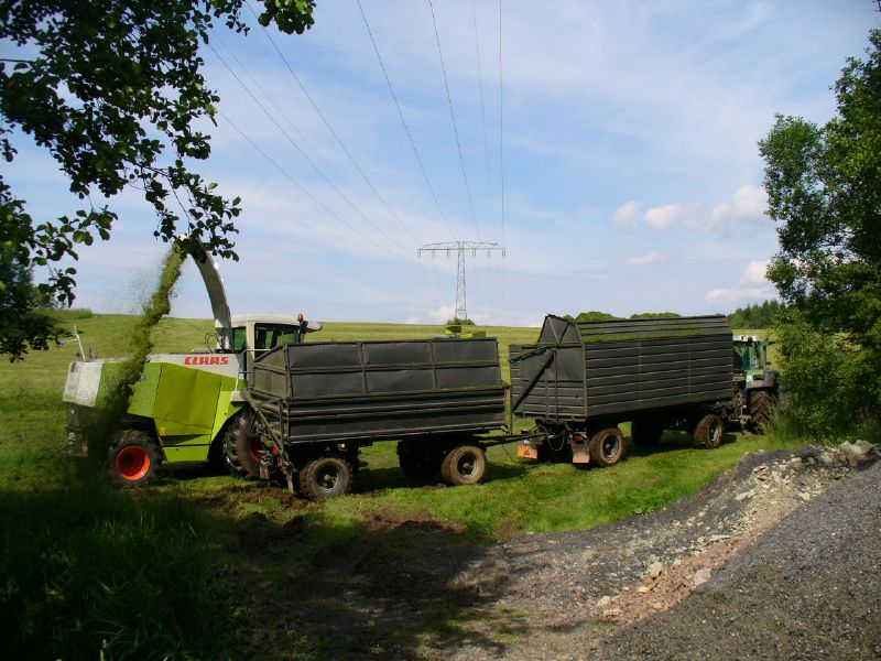P1010490.jpg