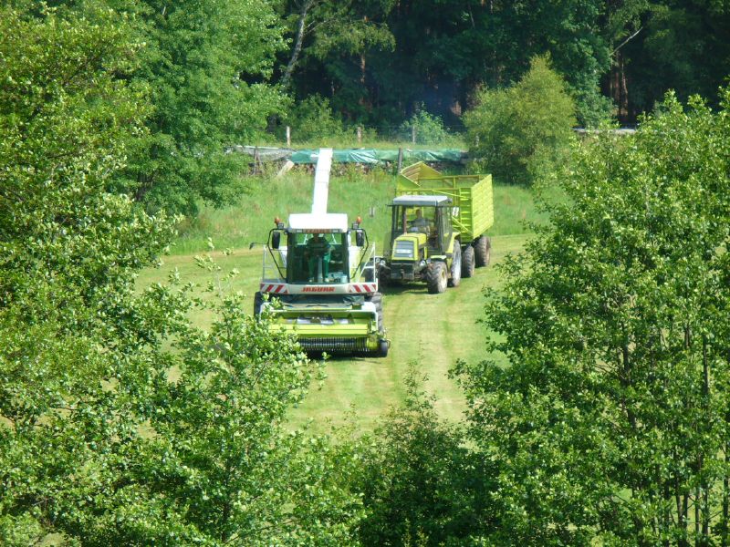 bilder/31_7_2003/mega_9.jpg