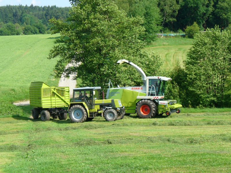 bilder/1_6_2007/P1010507.jpg