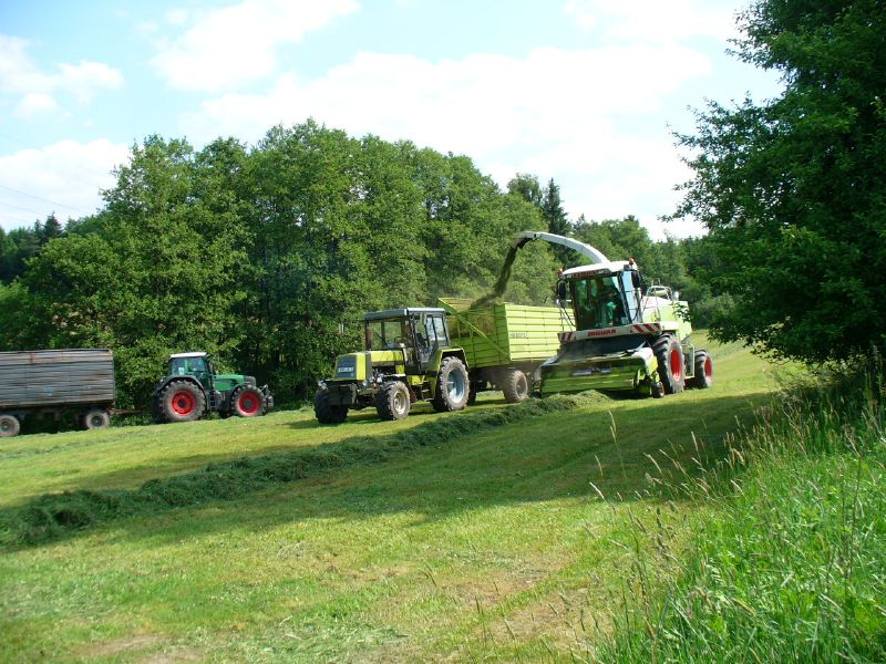 bilder/25_6_2016/DSC04938.jpg