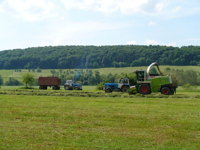 bilder/11_8_2013_3/CIMG9061.jpg