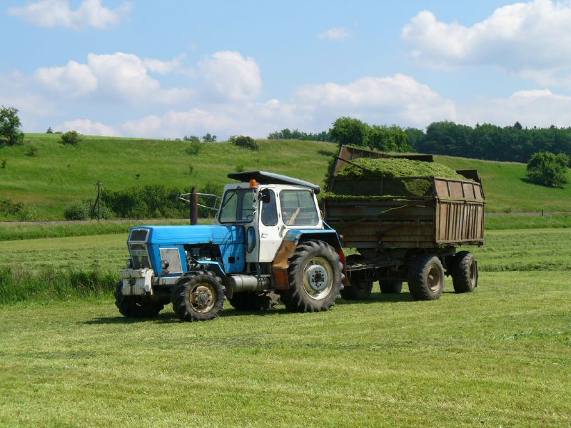 bilder/19_6_2005/zt_303_weidemann_4.jpg