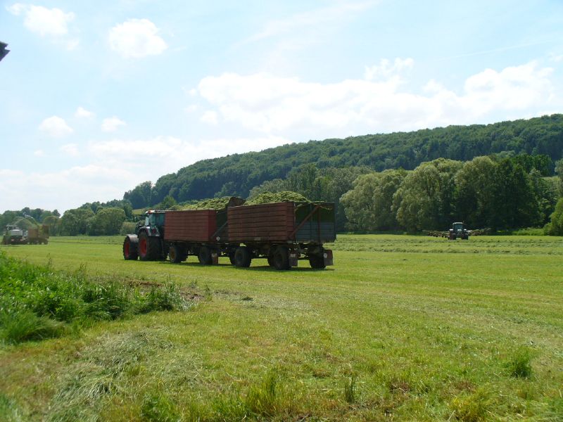 bilder/9_7_2018/DSC03754.jpg