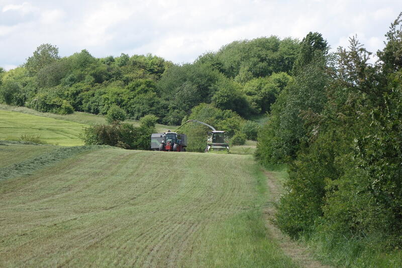 bilder/25_9_2002_1/jaguar_+_fendt_716.jpg