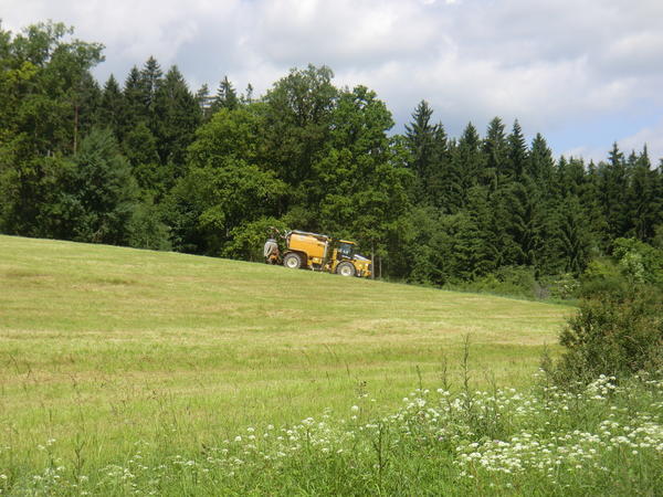 bilder/1_7_2013/CIMG7917.jpg