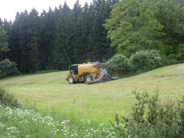 CIMG7923.jpg